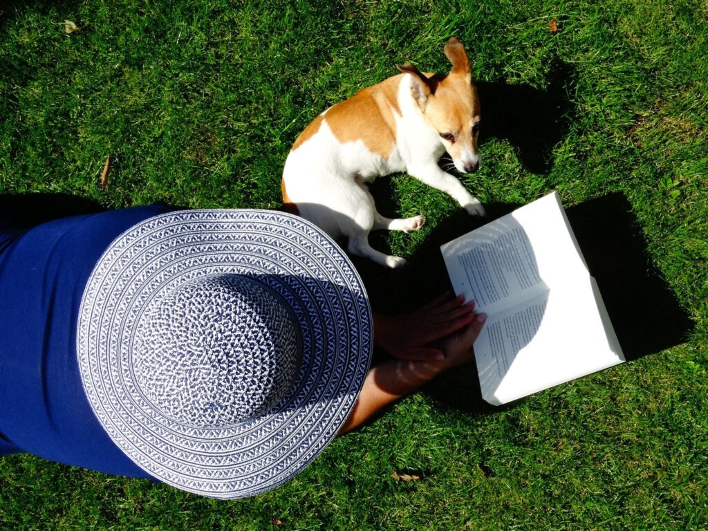 Short-coated White and Brown Dog